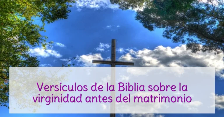 Versículos de la Biblia sobre la virginidad antes del matrimonio