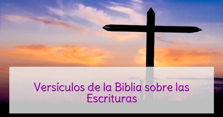 Versículos de la Biblia sobre las Escrituras