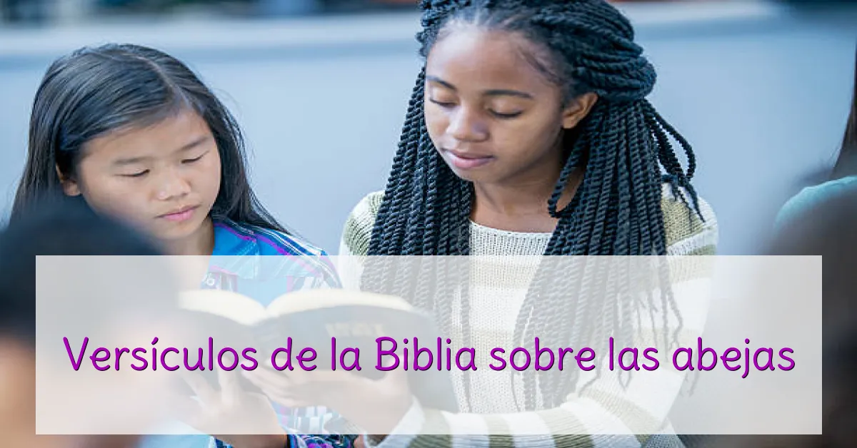 Versículos de la Biblia sobre las abejas