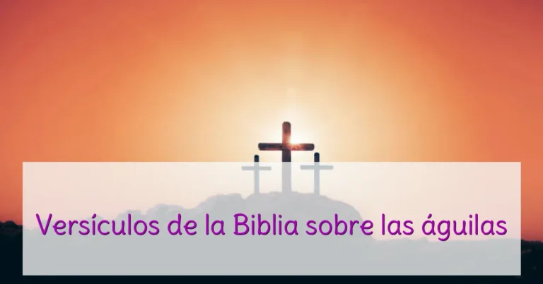 Versículos de la Biblia sobre las águilas