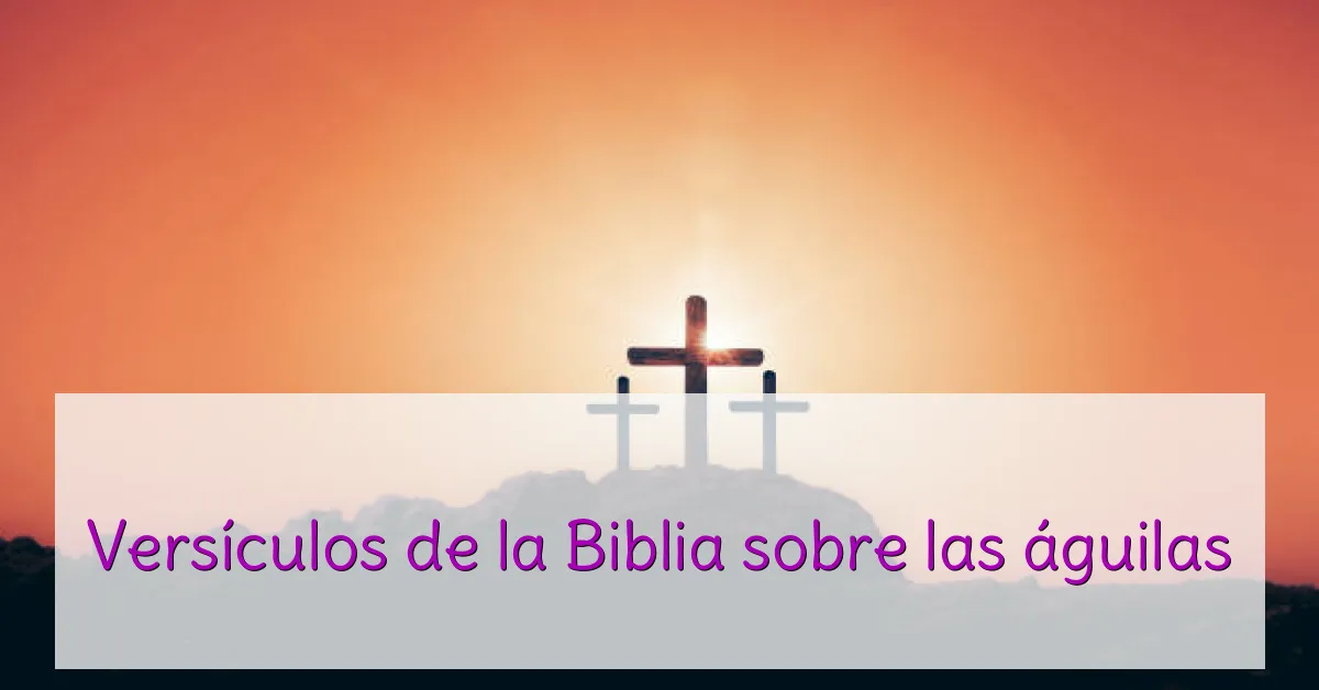 Versículos de la Biblia sobre las águilas
