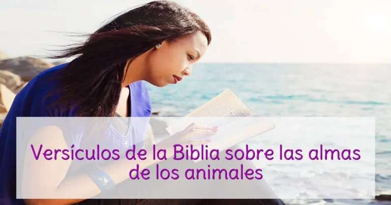 Versículos de la Biblia sobre las almas de los animales