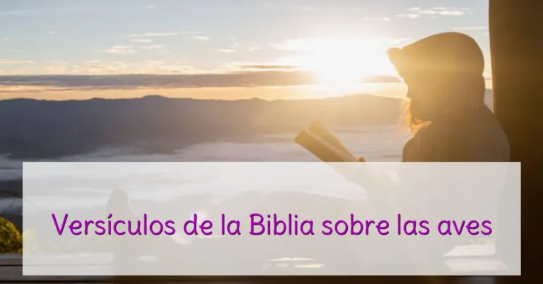 Versículos de la Biblia sobre las aves