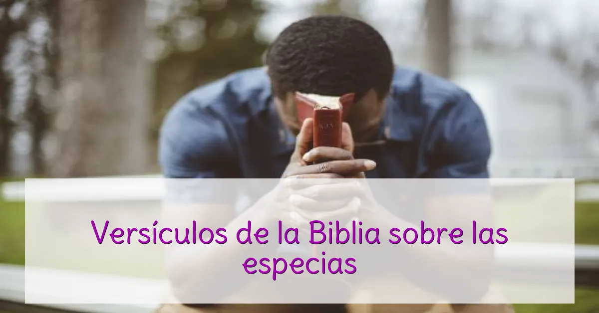 Versículos de la Biblia sobre las especias