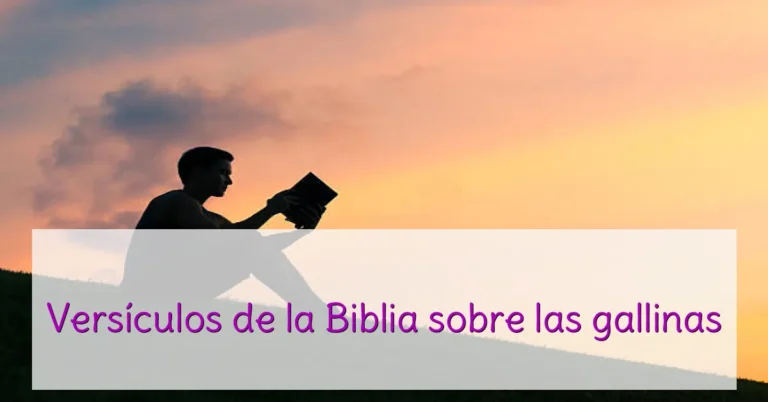 Versículos de la Biblia sobre las gallinas
