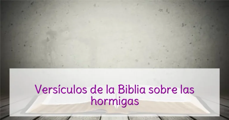 Versículos de la Biblia sobre las hormigas