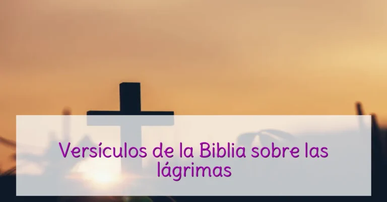 Versículos de la Biblia sobre las lágrimas