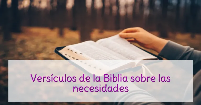 Versículos de la Biblia sobre las necesidades