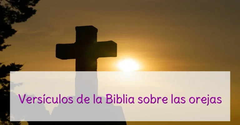 Versículos de la Biblia sobre las orejas