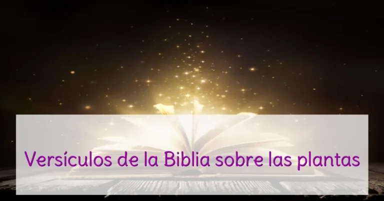 Versículos de la Biblia sobre las plantas