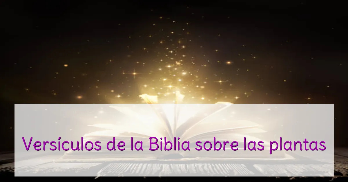 Versículos de la Biblia sobre las plantas