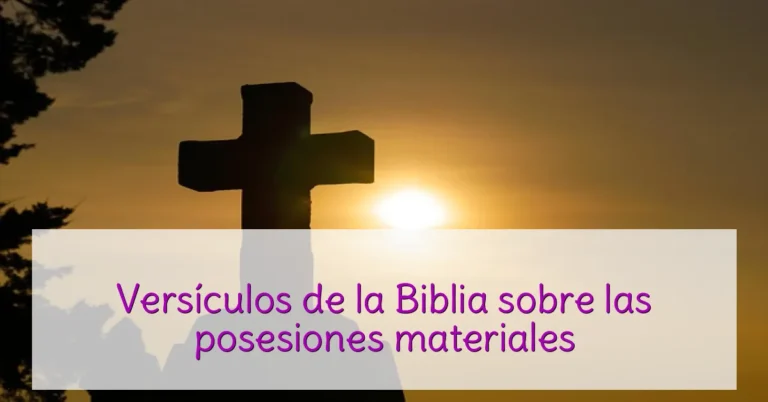 Versículos de la Biblia sobre las posesiones materiales