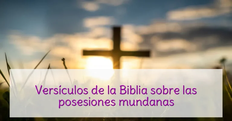 Versículos de la Biblia sobre las posesiones mundanas