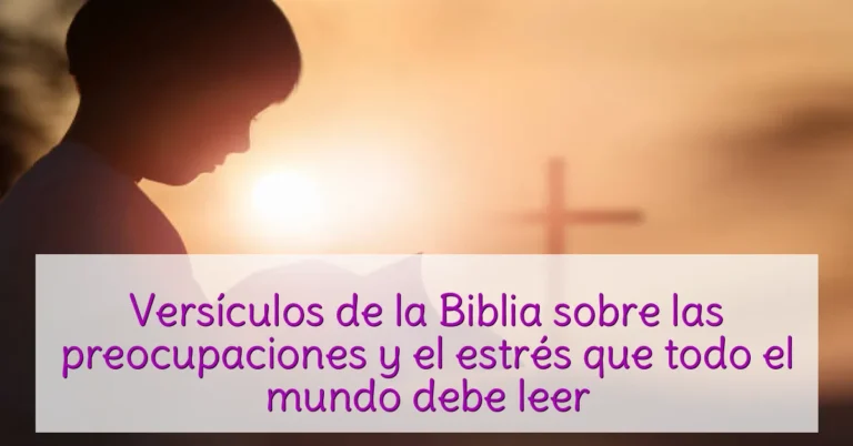 Versículos de la Biblia sobre las preocupaciones y el estrés que todo el mundo debe leer