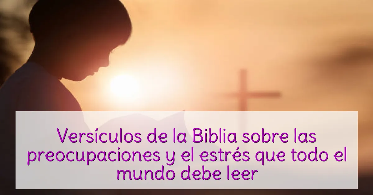 Versículos de la Biblia sobre las preocupaciones y el estrés que todo el mundo debe leer