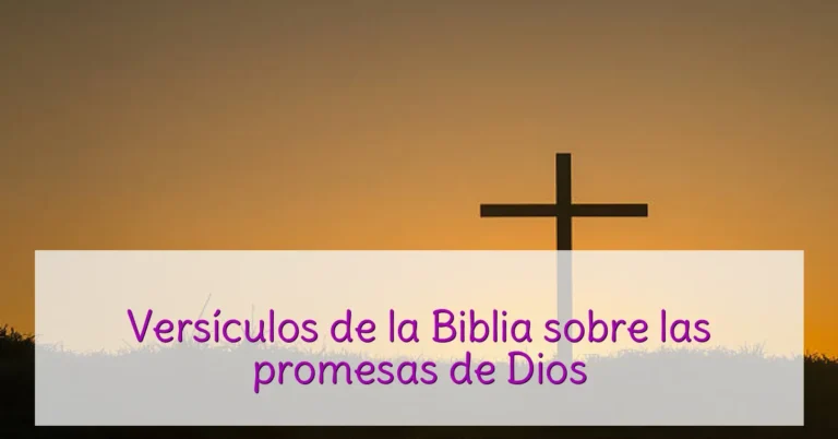 Versículos de la Biblia sobre las promesas de Dios