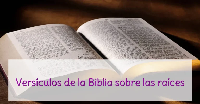 Versículos de la Biblia sobre las raíces