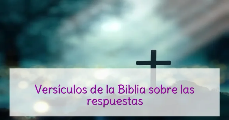 Versículos de la Biblia sobre las respuestas
