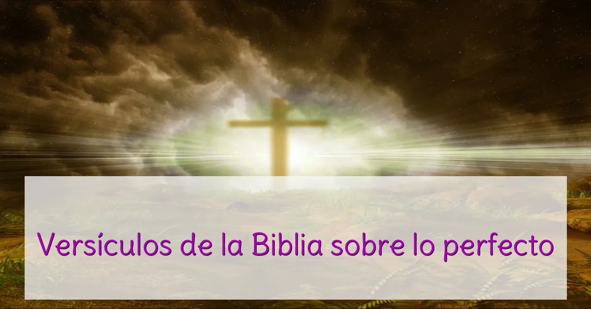 Versículos de la Biblia sobre lo perfecto