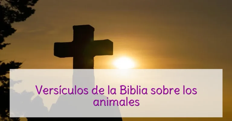 Versículos de la Biblia sobre los animales