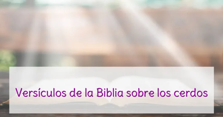 Versículos de la Biblia sobre los cerdos