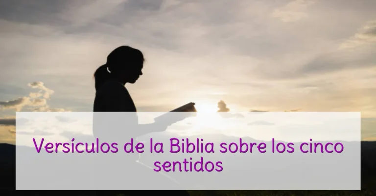 Versículos de la Biblia sobre los cinco sentidos