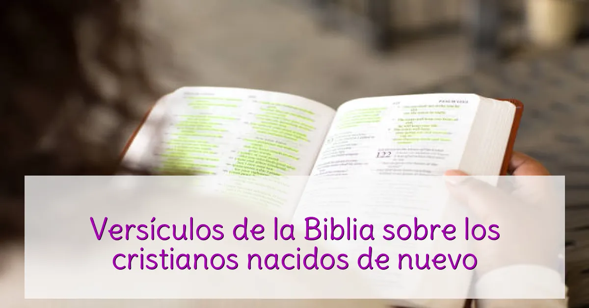 Versículos de la Biblia sobre los cristianos nacidos de nuevo