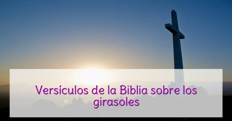 Versículos de la Biblia sobre los girasoles
