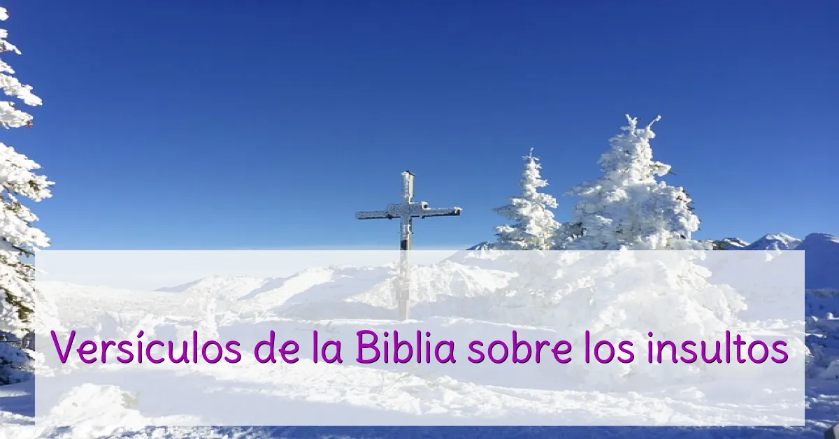 Versículos de la Biblia sobre los insultos