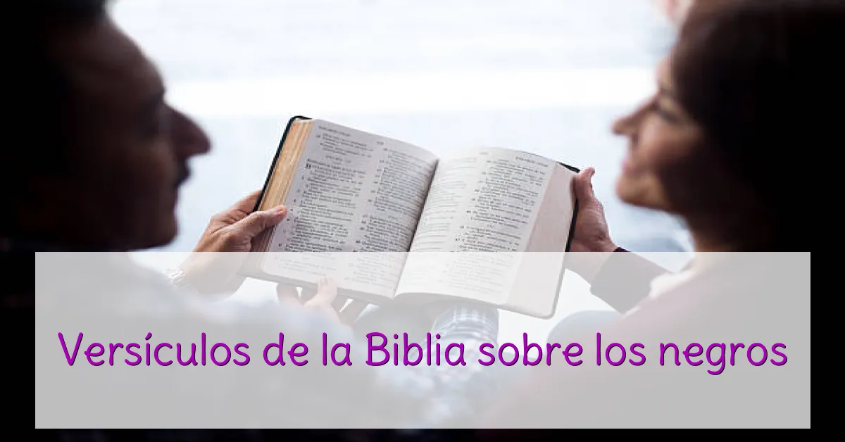Versículos de la Biblia sobre los negros