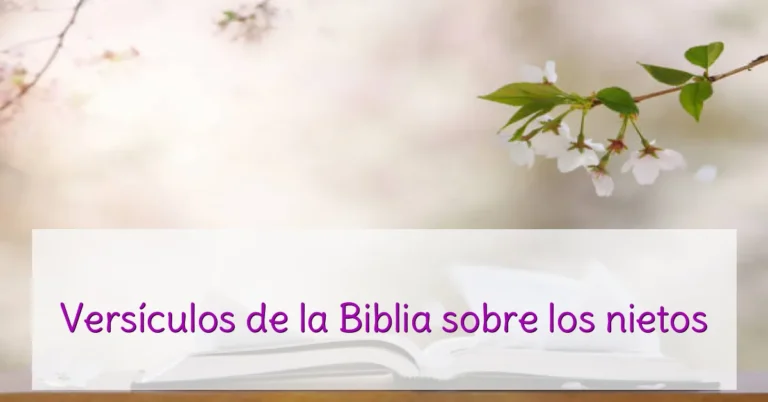 Versículos de la Biblia sobre los nietos