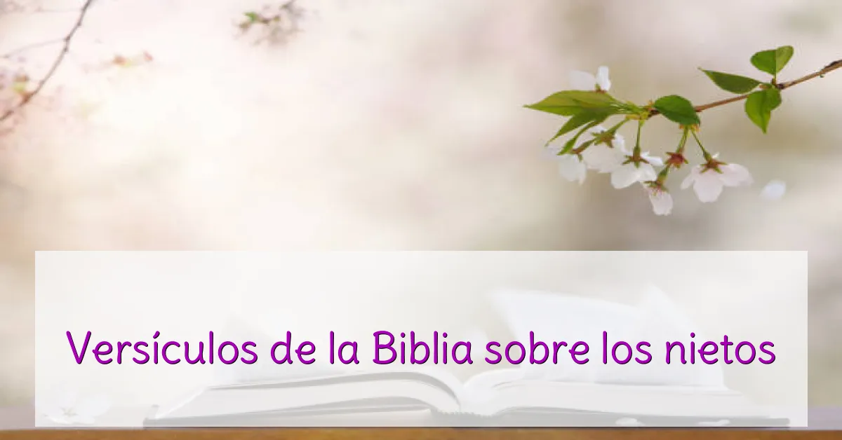 Versículos de la Biblia sobre los nietos