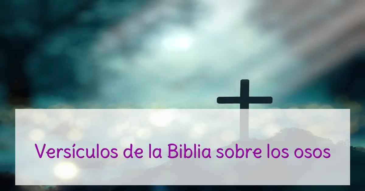 Versículos de la Biblia sobre los osos