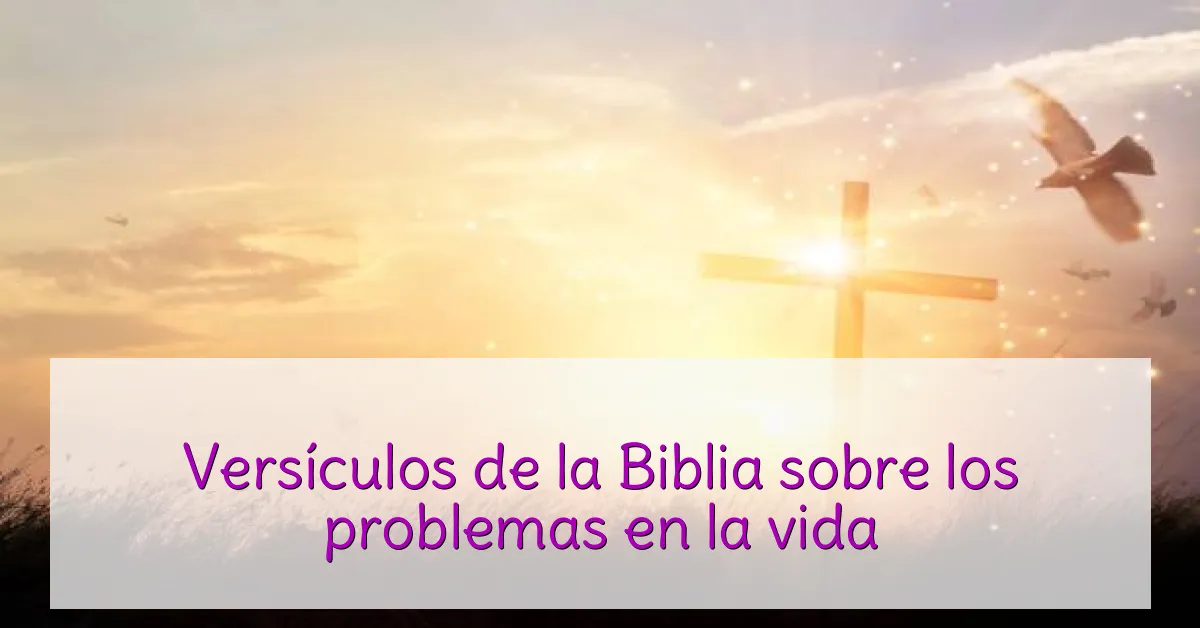 Versículos de la Biblia sobre los problemas en la vida