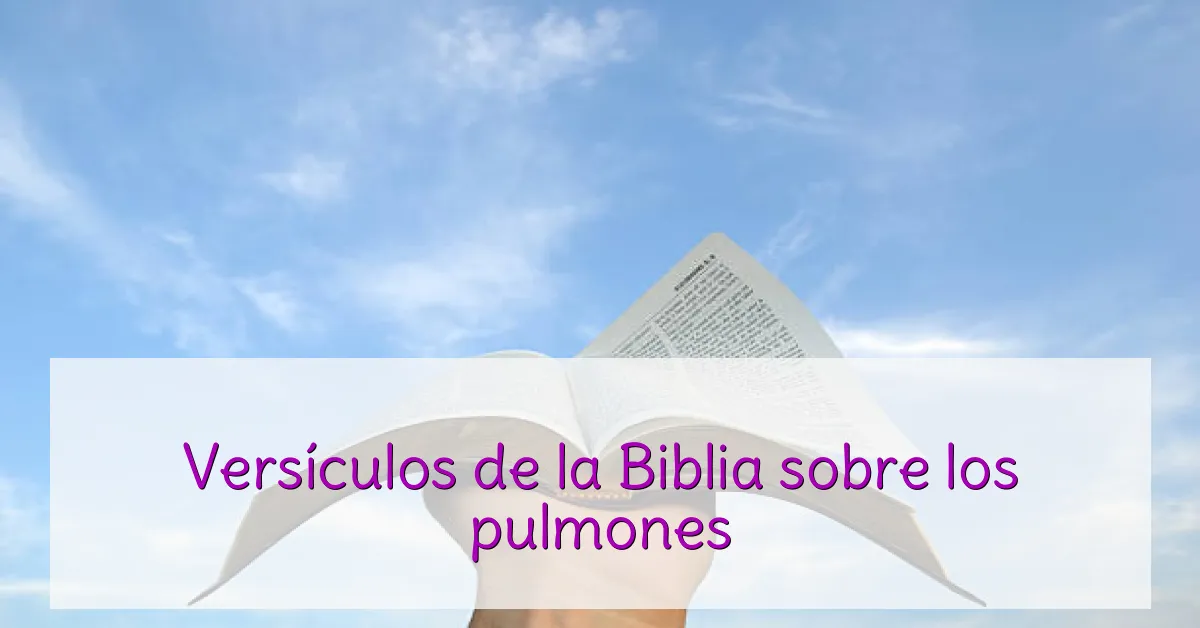 Versículos de la Biblia sobre los pulmones