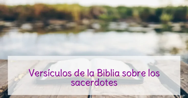 Versículos de la Biblia sobre los sacerdotes