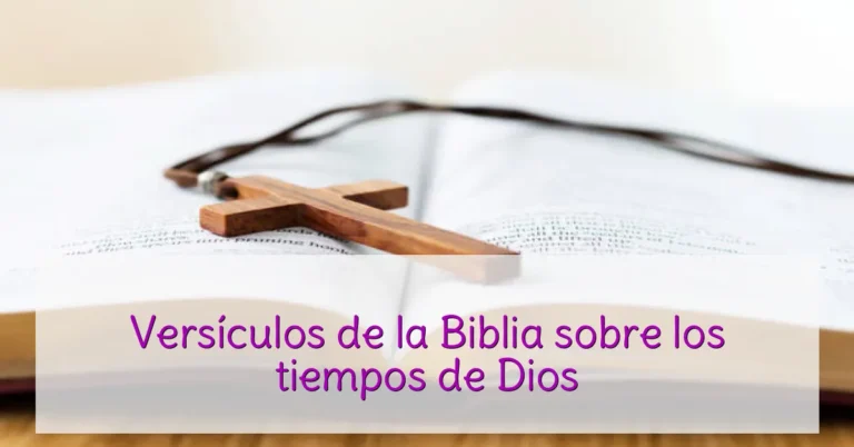 Versículos de la Biblia sobre los tiempos de Dios
