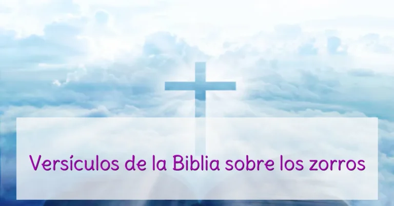 Versículos de la Biblia sobre los zorros