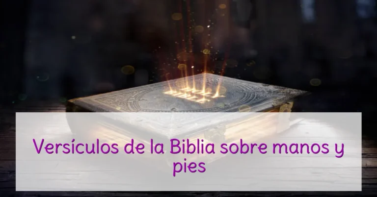 Versículos de la Biblia sobre manos y pies