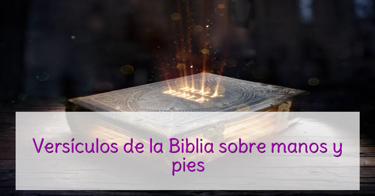 Versículos de la Biblia sobre manos y pies
