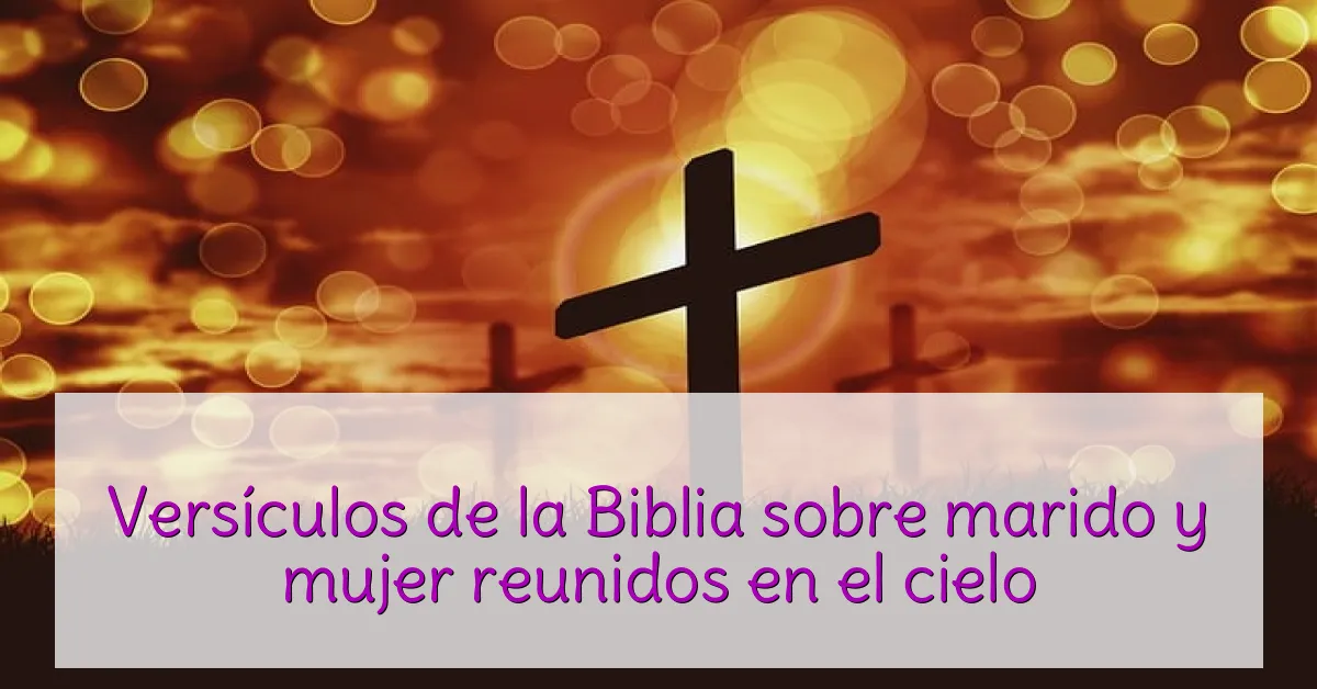 Versículos de la Biblia sobre marido y mujer reunidos en el cielo