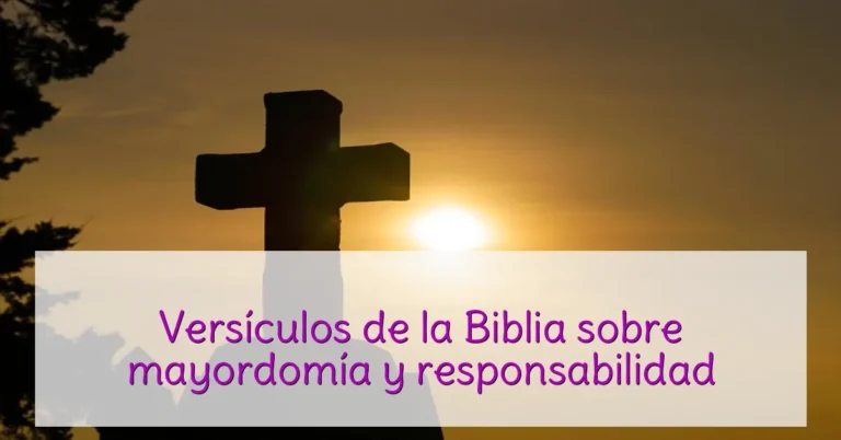 Versículos de la Biblia sobre mayordomía y responsabilidad