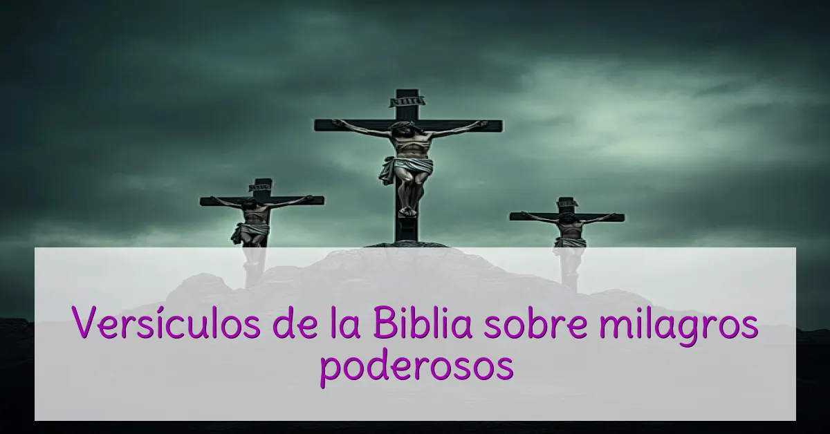 Versículos de la Biblia sobre milagros poderosos