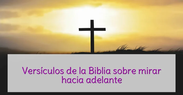 Versículos de la Biblia sobre mirar hacia adelante