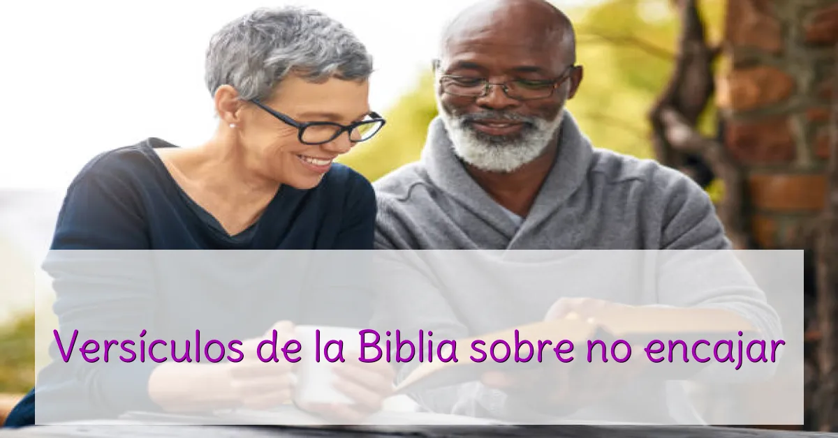 Versículos de la Biblia sobre no encajar