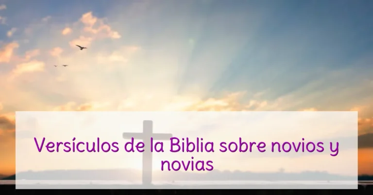 Versículos de la Biblia sobre novios y novias
