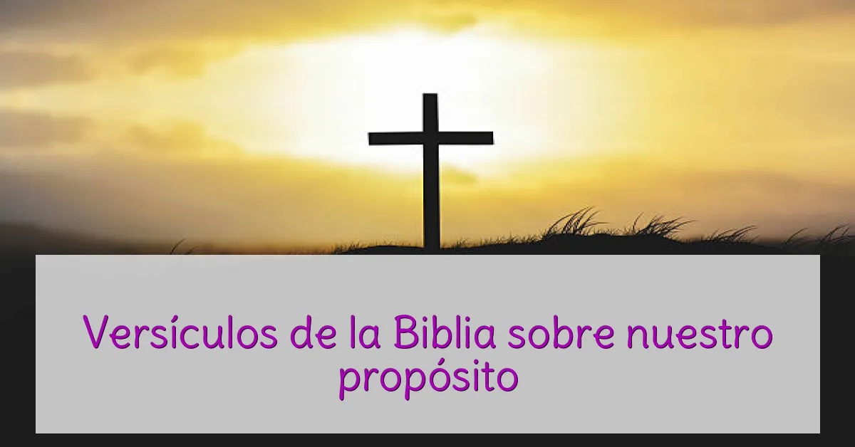 Versículos de la Biblia sobre nuestro propósito