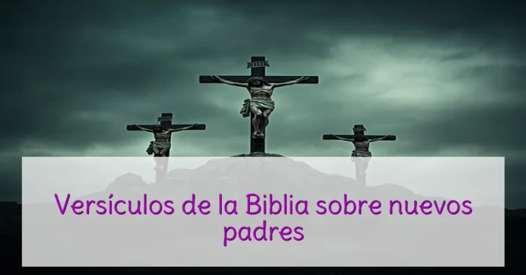 Versículos de la Biblia sobre nuevos padres