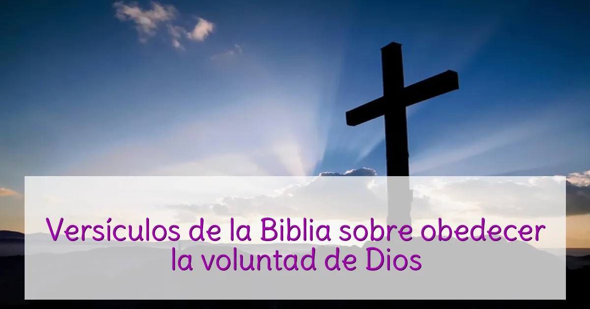 Versículos de la Biblia sobre obedecer la voluntad de Dios