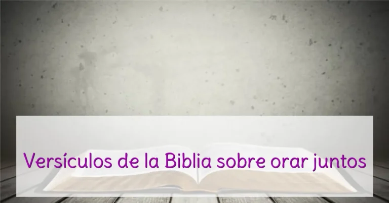 Versículos de la Biblia sobre orar juntos